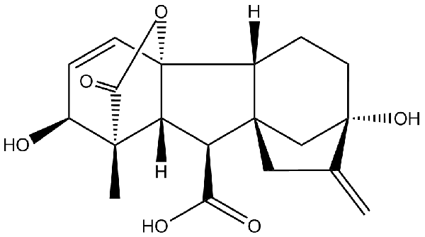 赤霉素GIBBERELLIC ACID，居然有這么神奇？